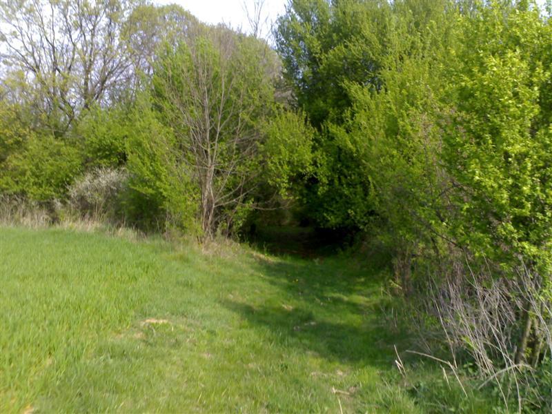 200704091706 .jpg